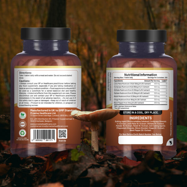 Advanced 6-Mushroom Complex 2000mg | Vegan Wellness Powerhouse | 120 Tablets - Image 5