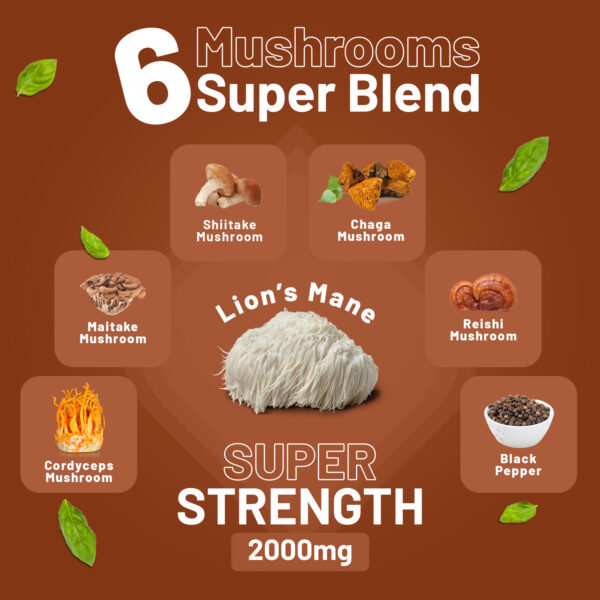 Advanced 6-Mushroom Complex 2000mg | Vegan Wellness Powerhouse | 120 Tablets - Image 4