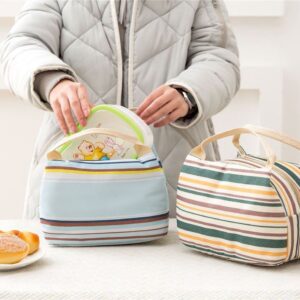 Vinsani Insulated Canvas Lunch Bag - Stylish, Lightweight & Reusable Cooler