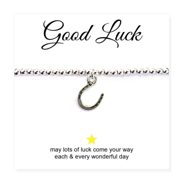 Silver Horseshoe Charm Bracelet with Good Luck Message - Perfect Gift!